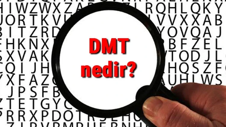 DMT ve Longevity: Bağırsak-Beyin Aksında Biyolojik Bir "Yazılım Güncellemesi"