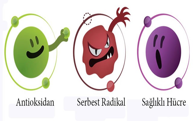 Oksidasyon & Anti-Oksidanlar