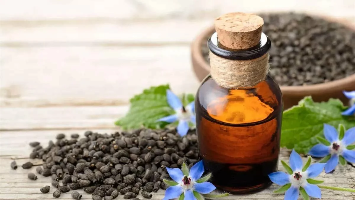 Hodan Yağı – Lipid Diplomasisinin Moleküler Kestirmesi