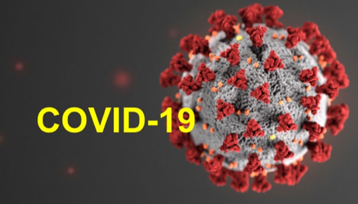 Corona Virus (COVİD-19)