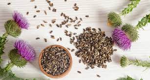 Milk Thistle (Deve Dikeni)