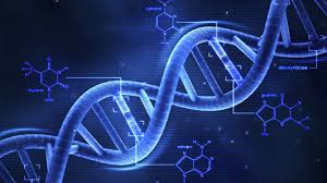 DNA'mızın bazı bölümleri daha önce düşünülenden çok daha hızlı evrimleşebilir