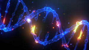 DNA'NIN DEĞİŞİM ve DÖNÜŞÜMÜ:   IŞIK (FOTON), FREKANS, ELEKTROMANYETİK ALAN (EMF) ve BİTKİSEL BİLEŞENLERİN ETKİSİ