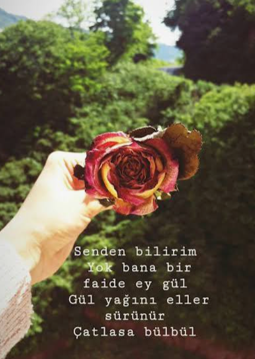 Gönül verdim, şiire, gazele