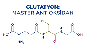 Glutatyon: Vücudun Doğal  AntiOksidanı