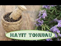 Hayıt Tohumu (Vitex Agnus-Castus): Kadın Sağlığının Dopaminerjik Anahtarı