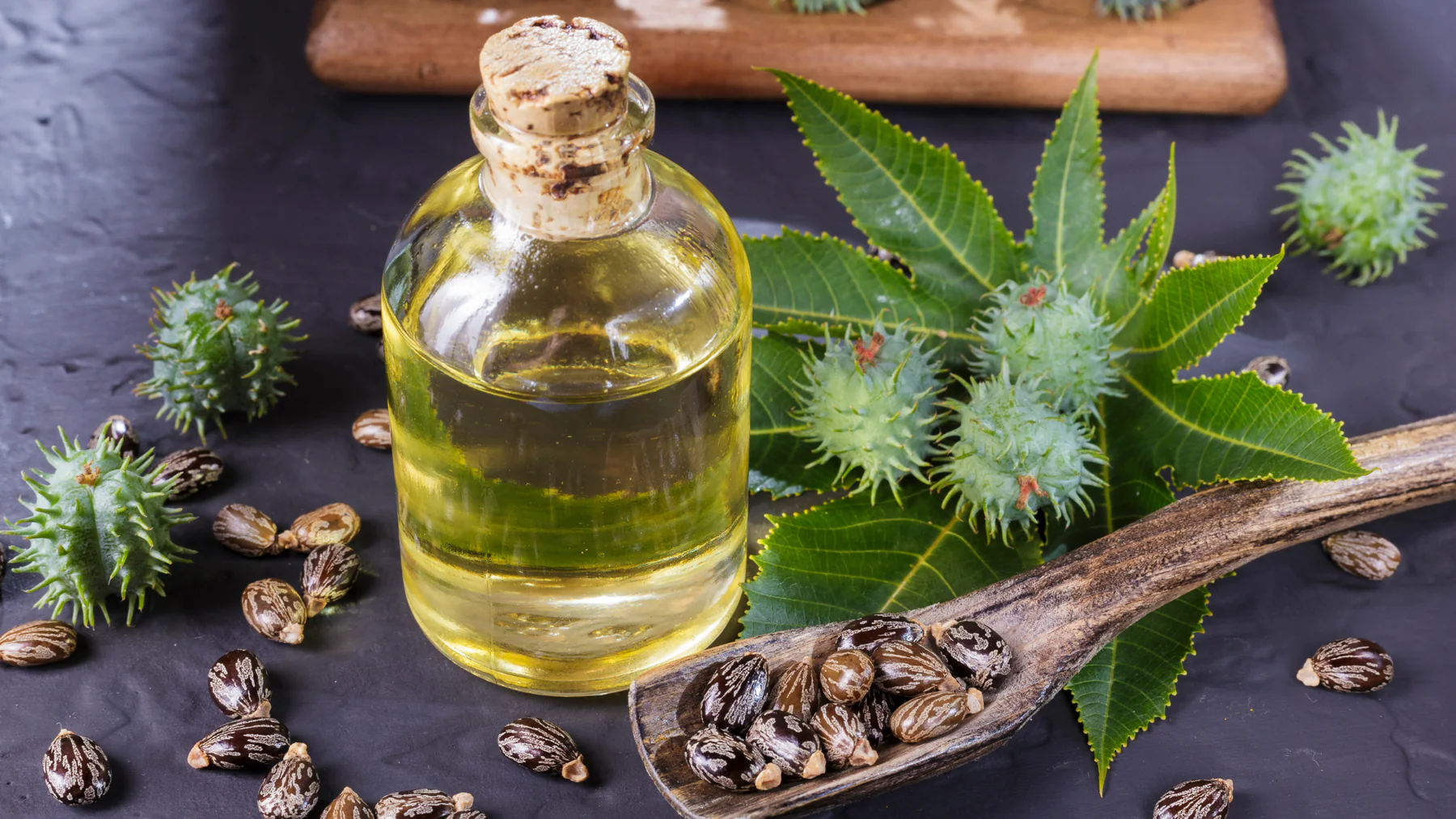Hint Yağı (castor oil)