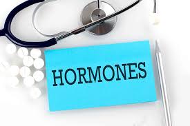 Hormonlar: Vücudun İçsel İletişim Sistemi