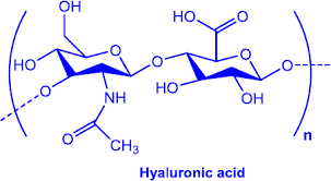 Hyaluronik asit