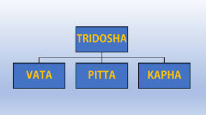 Ayurveda Teorileri: Tridosha ve Prakriti Kavramları Üzerine Bir İnceleme