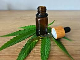 KENEVİR (Cannabis Sativa)