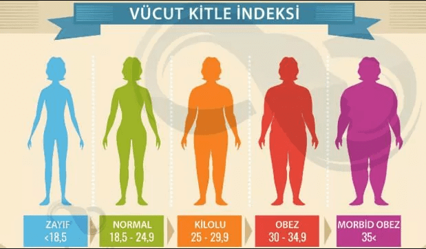 Obesite Hakkında Bilgiler