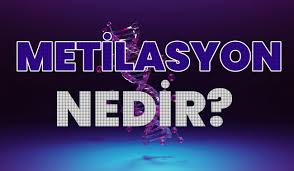 Metilasyon Bozukluğu
