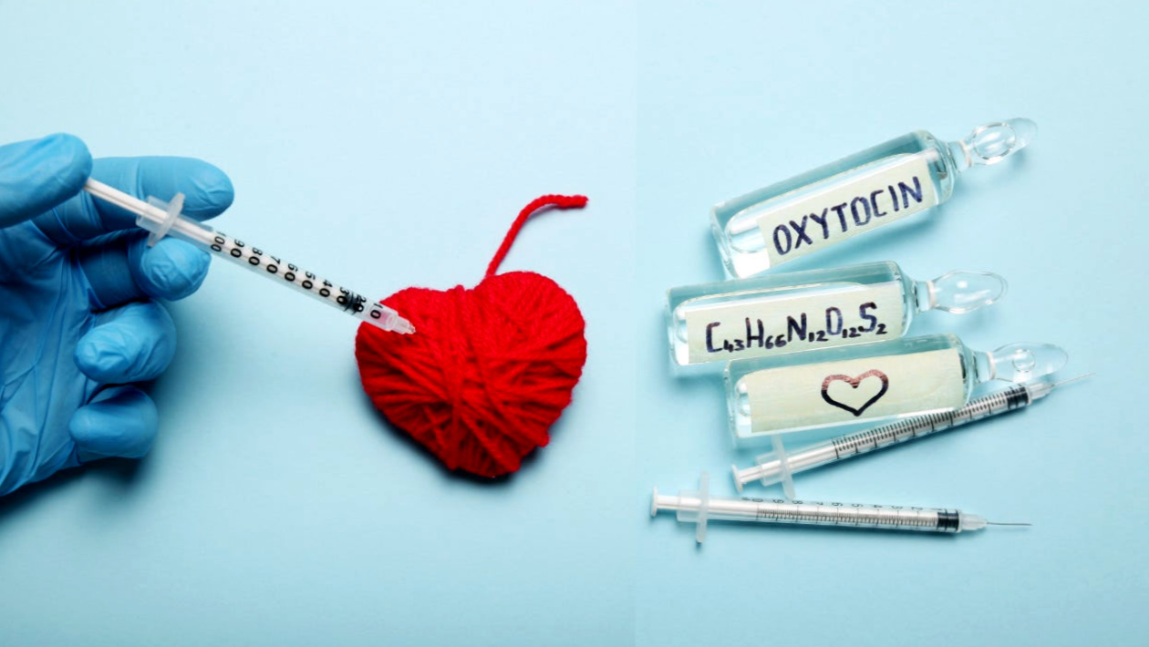 Oksitosin Paradoksu: İskemik Miyokardın Nöro-Hormonal Uyanışı