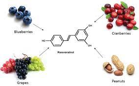Artırılmış Biyoyararlanım: Pterostilbene'in Resveratrol Etkisini Uzatan Kimyasal Üstünlüğü.