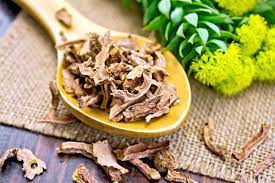 Rhodiola rosea: Zihinsel, Bedensel performans Arttıran Adaptojen Bitki