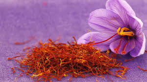 DOĞANIN EN PAHALI MUCİZESİ: SAFRAN (Crocus sativus)