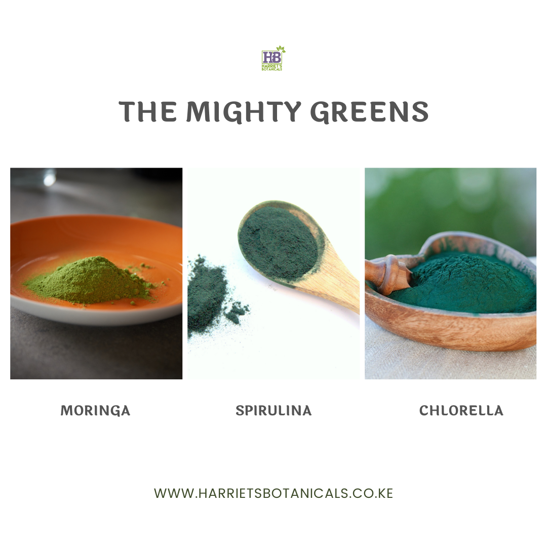 3 Süper gıda: Spirulina, Klorella, Moringa