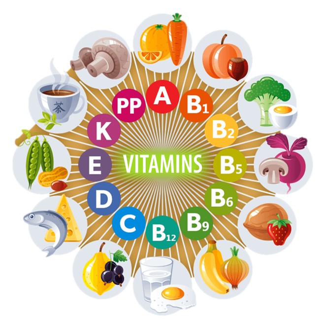 Hayatın Kofaktörleri: Vitaminler ve Mineraller için Özet Bilgiler.