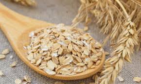 BİR TOHUMUN İÇİNDEKİ SAKLI BİLİM: YULAF (Avena sativa)