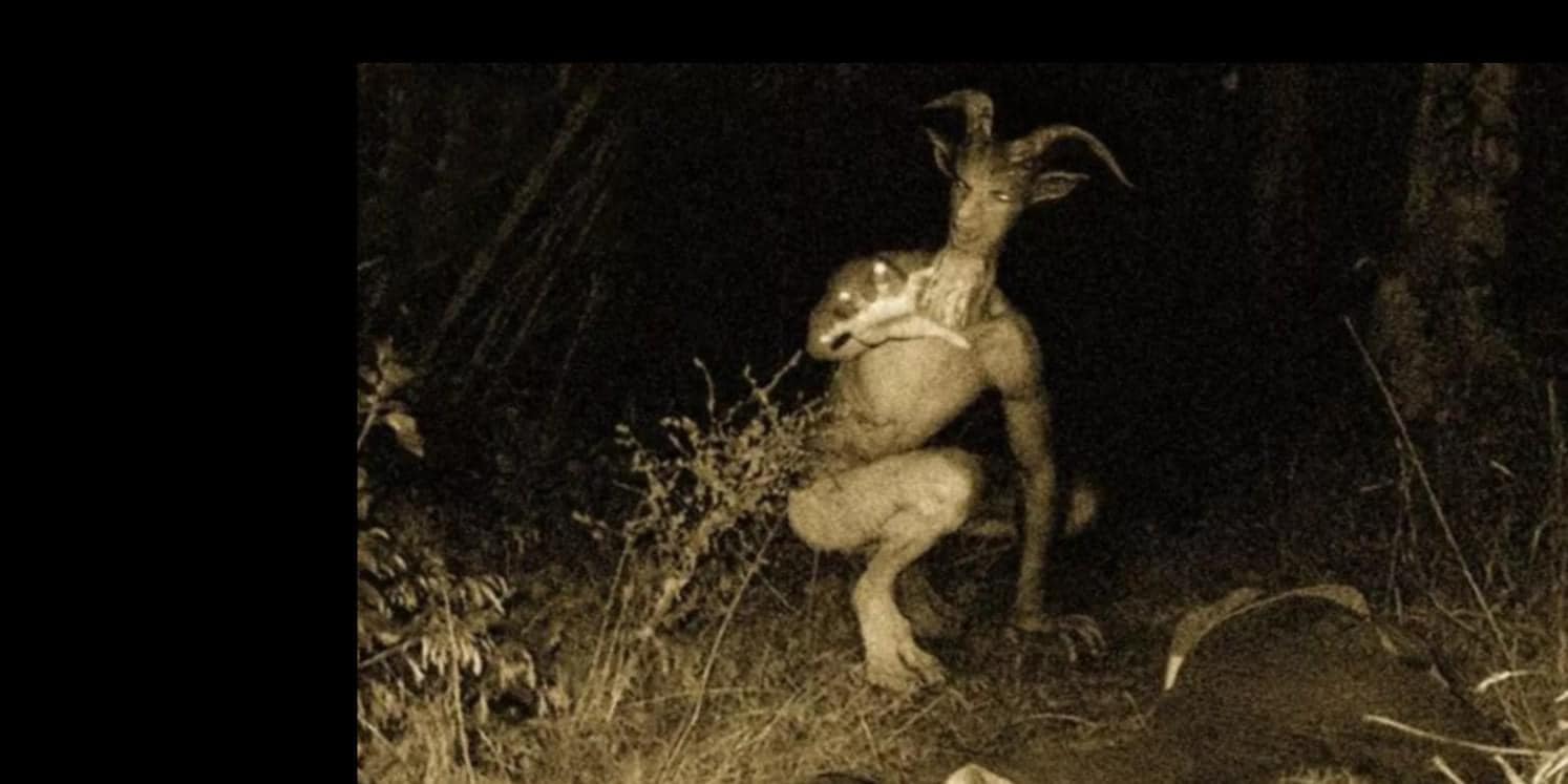 Aşktan öte ıslah mı var